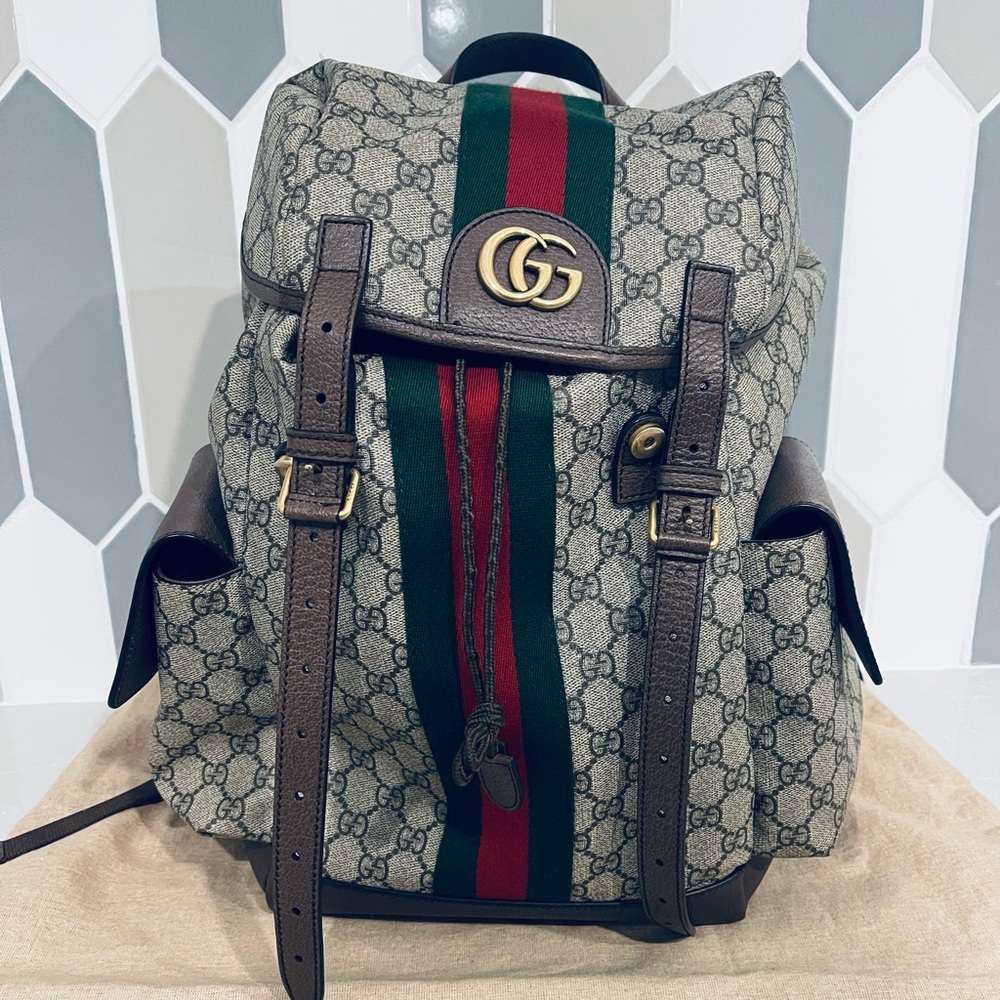 Gucci Ophidia back pack